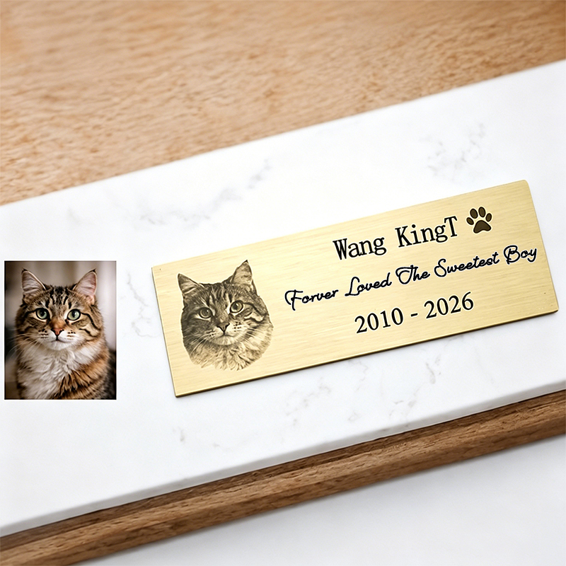 Targa Commemorativa Personaliz - Photography Of Memories recensione e prezzo